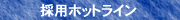 �̗p�z�b�g���C��