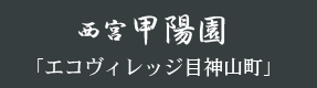 �G�R���B���b�W�ڐ_�R��